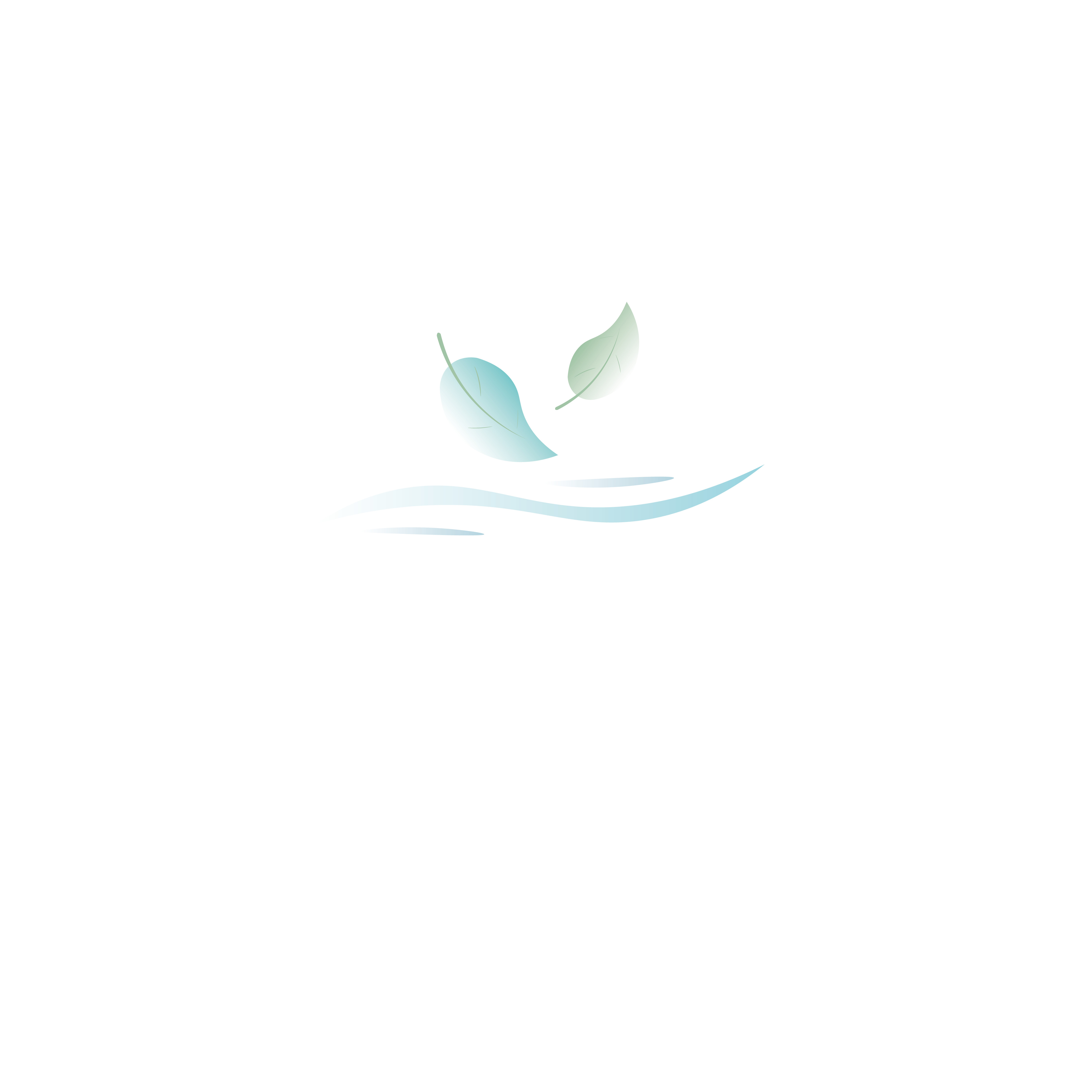 mobil beauty spa